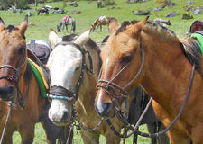 Peru-Cusco-Classic Inca Trail